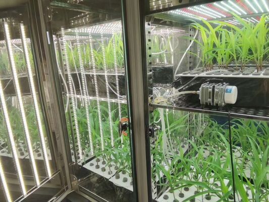 Kamar Pertumbuhan Tanaman Liyi Mesin Percambahan Biji Iklim buatan Kotak Inkubator Pertumbuhan Tanaman